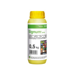 Signum 33WG 0,5KG