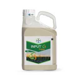 Input Triple 400EC 5L