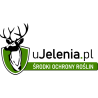 uJelenia.pl